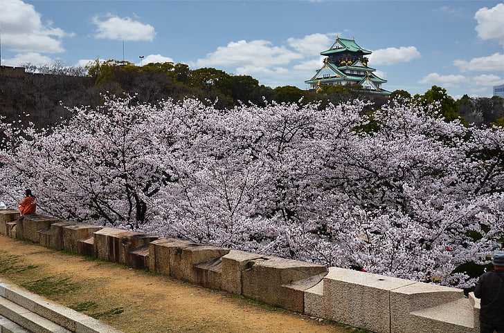 Osaka, Castelo de Osaka, Castelo, Marco, Japonês, Kansai, cerejeiras em flor