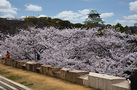 osaka, osaka castle, castle, landmark, japanese, kansai, cherry blossoms