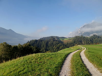 krajolik, daleko, priroda, zelena, Tirol, planine, drvo