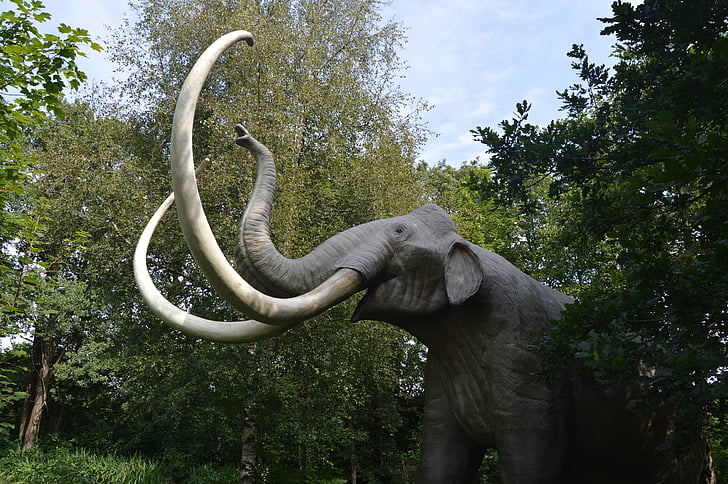 mammoth, amusement park tolk, mecklenburg, elephant, animal, tree