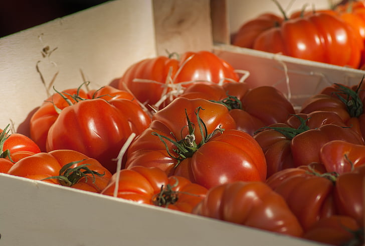 tomater, markedet, vegetabilsk, grønnsakshage