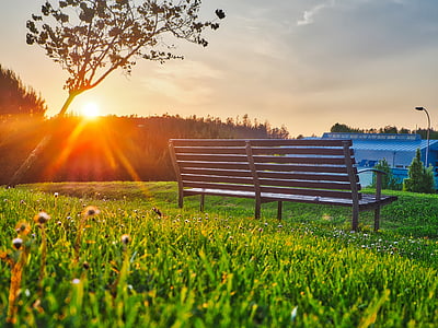 板凳, 草, 自然, 户外, 天空, 太阳, 日出