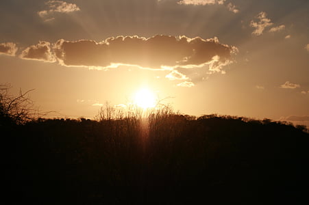 sol, coucher de soleil, Sertao, Brésil, nature, Dim, lumière du soleil