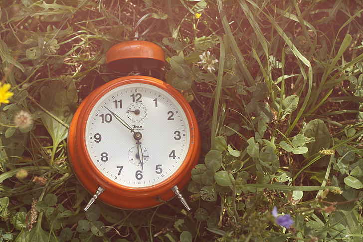 grama, relógio, tempo, alarme, verde, natureza, hora