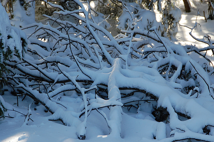 Nevado ramos, Inverno, neve
