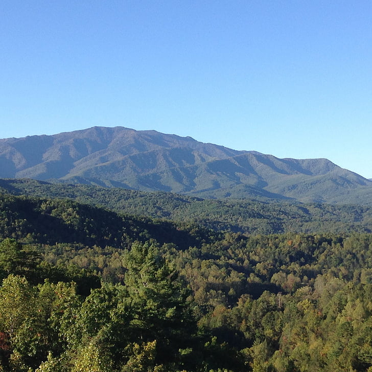 fumat mountains, Tennessee, Parc Nacional de la muntanya fum, natura, muntanya, arbre, bosc