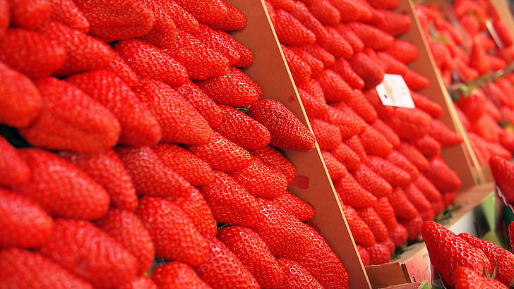 toidu, värske, puuviljad, maasikad, puu, punane, värskuse