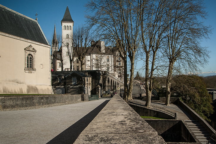 Γαλλία, Béarn, Pau, Πυρηναίων, Κάστρο, δέντρο με γυμνά κλαδιά, αρχιτεκτονική