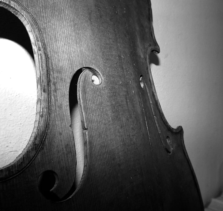 violino, madeira, Effe, luthier