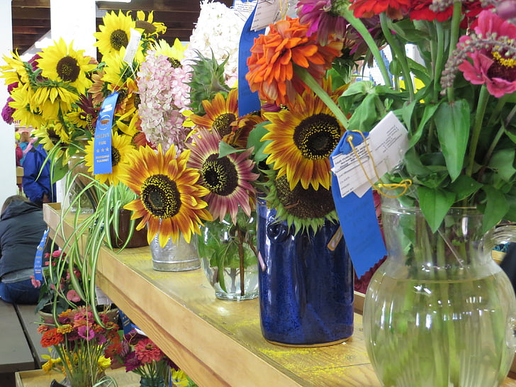 flowers, fair, blue ribbon winners, bouquet of flowers, vases, sunflowers, competition