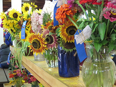 flores, justo, vencedores de fita azul, buquê de flores, vasos, girassóis, concorrência