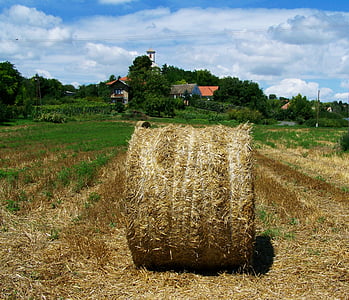 halm bal, jordbruk, landsbygdens landskap, Bale, Hay, landsbygdens scen, gård