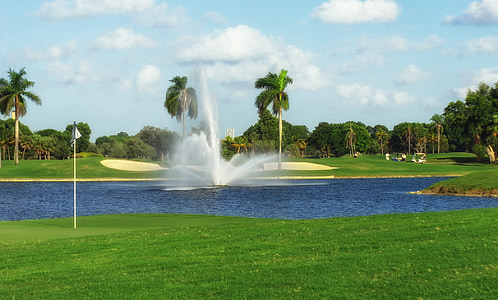 Doral resort de golfe, Miami, Florida, trópicos, tropical, palmas das mãos, palmeiras