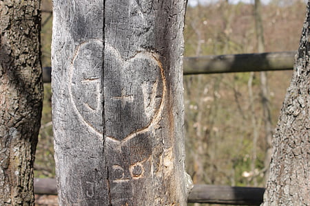 Láska, strom, Příroda, dřevo, kůra stromu, srdce, Datum