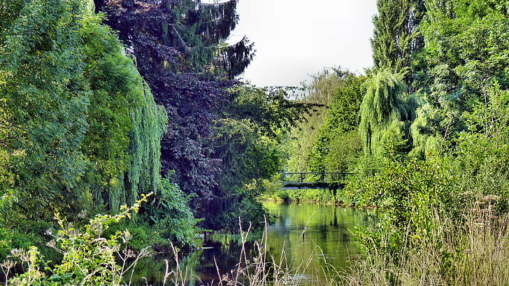 Природа, води, дерева, дзеркальне відображення, Річка, парк, wachtendonk