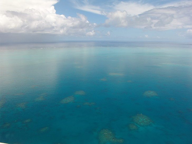 Great barrier reef, Daivings, koraļļu, okeāns, Klusā okeāna, gluda, atspoguļojot