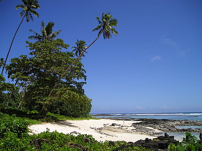 棕榈树, 海滩, 美丽的海滩, 沙滩, 萨摩亚, 异国情调, 南海