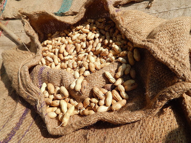 peanut, peanut taske, rå peanut, peanut Indien, brun, jute taske, jute