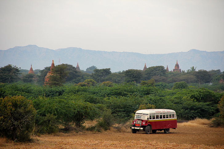 Bus, Pagode, Myanmar, Burma, Asien, Bagan, Ziegel