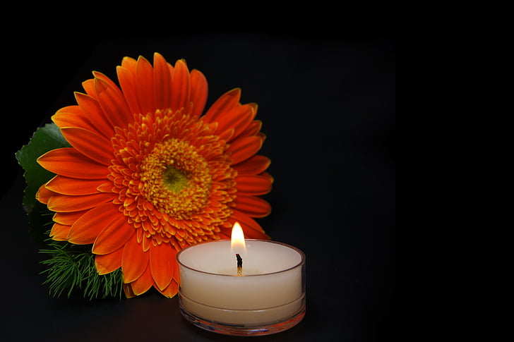 Kerze, Blume, Trauer, Trauerkarte, Still-Leben, Laternen, Candle-Light