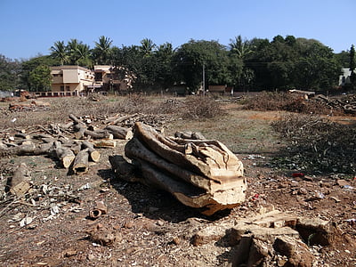 δέντρο ξεριζώθηκε, κορμός, αρχείο καταγραφής, woodpile, Dharwad, Ινδία, καταστροφή