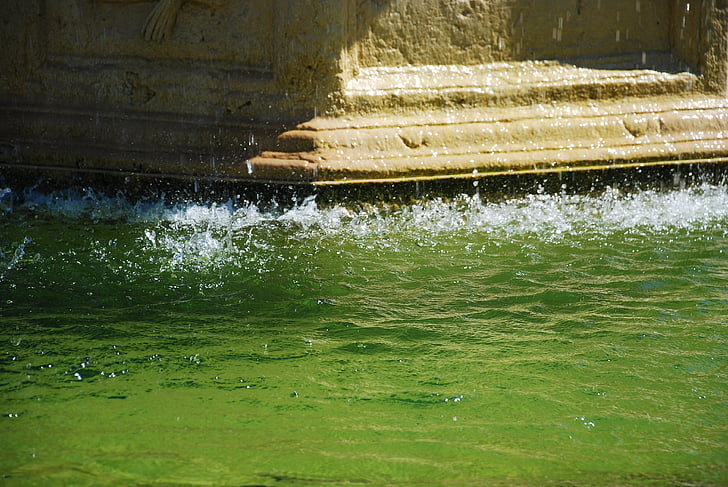 fountain, water, rome, liquid, splash, green, outdoor