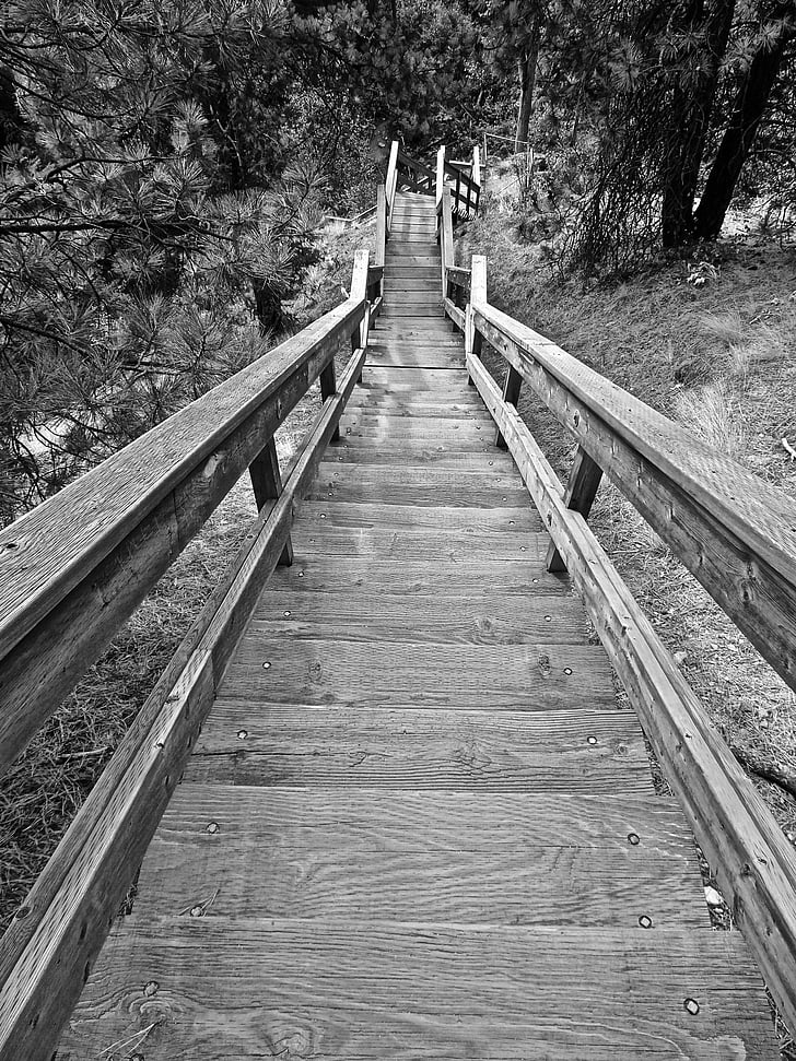 schodiště, dřevěný, Perspektiva, kroky, venkovní, směr, způsob