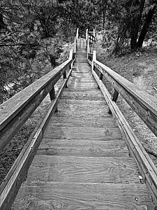 merdiven, ahşap, bakış açısı, adımları, Açık, yön, yol