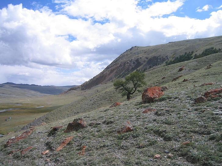 Altay, vadi, panoramik, kaya, doğa