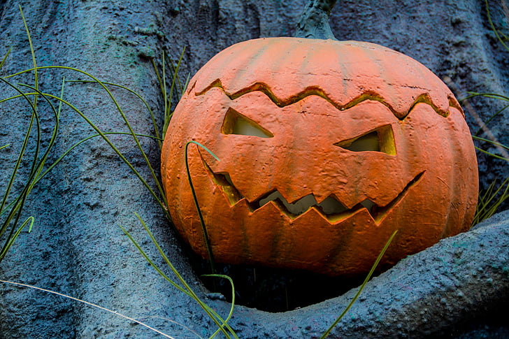 Halloween, høst, gresskar, horror, nifs, carving - håndverket produktet, lykt