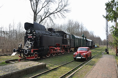 la file d’attente, train, drezyna, Gare ferroviaire, Białowieża, Pologne