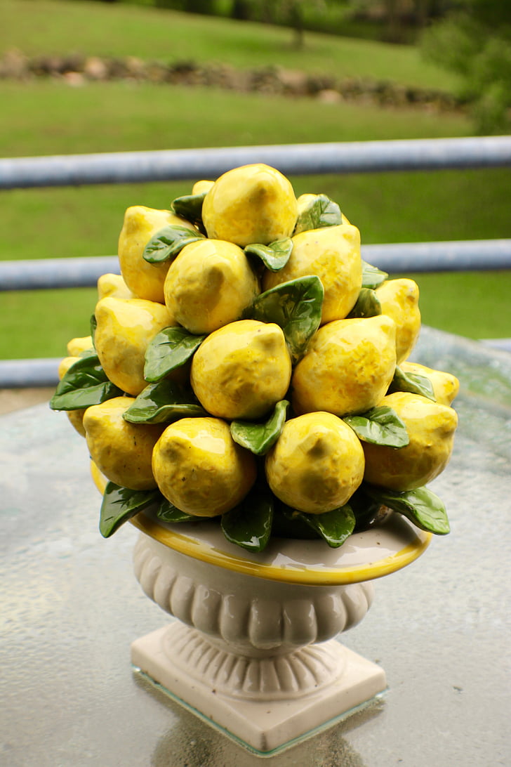 lemon, vase, color, fruit, citrus, green, nature