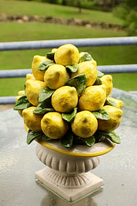 citron, váza, Barva, ovoce, citrusové, zelená, Příroda