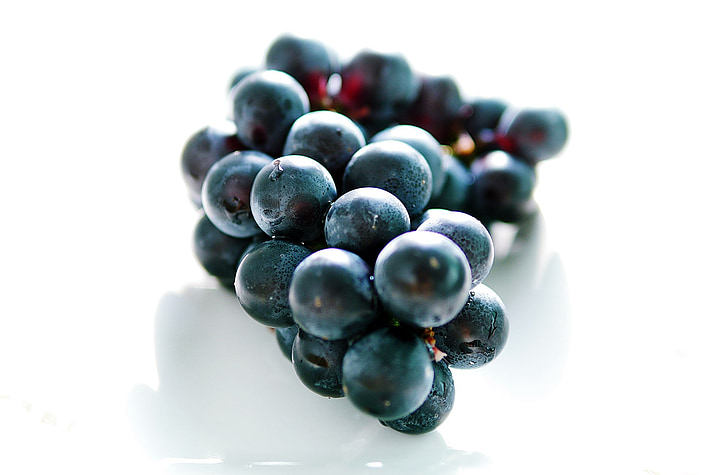grapes, blue, cluster, bunch, juicy, food, ripe
