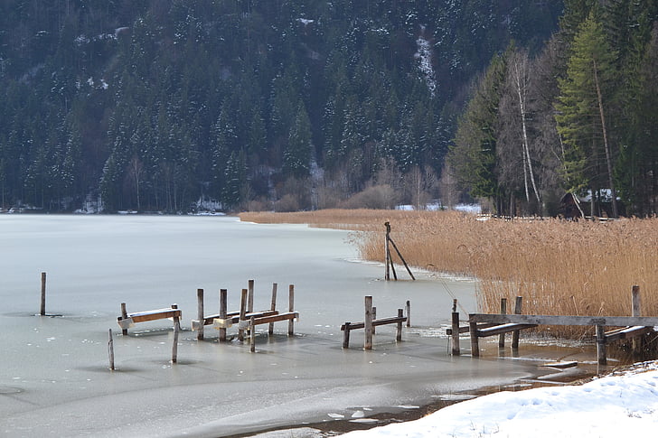 лед, езеро, зимни, Рийд, Allgäu, езерото през зимата, студен