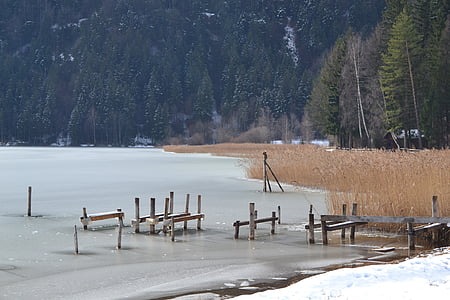 lód, Jezioro, zimowe, Reed, Allgäu, jeziora w zimie, mrożona