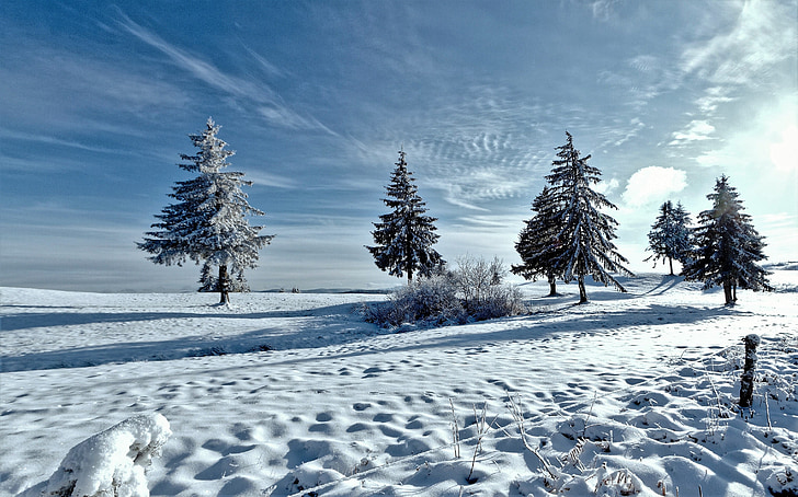 winters, landscape, snow, nature, horizon, cold, tree