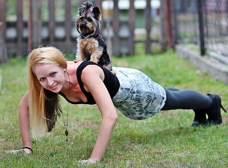 mujer rubia, Yorkie, perro, entrenamiento, push ups, de la sonrisa, animales de compañía