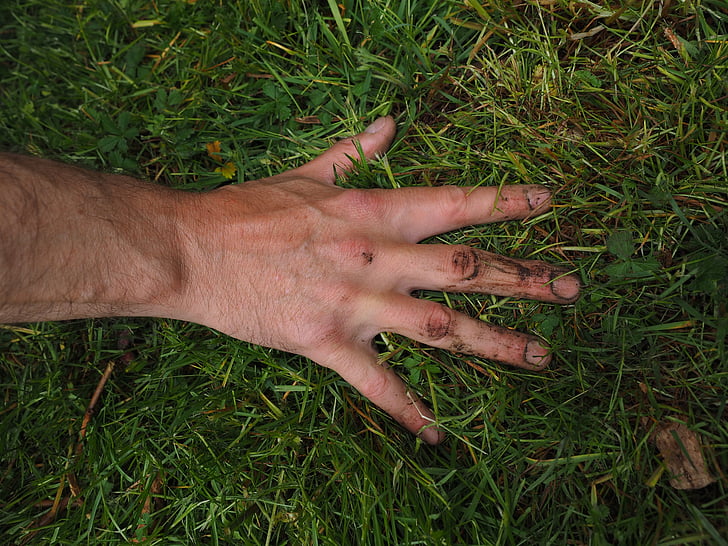 ruka, Dirty, zahradnictví, země, práce, zahradníci, zahradník