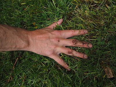 käsi, likainen, Puutarhanhoito, maan, työ, puutarhurit, puutarhuri