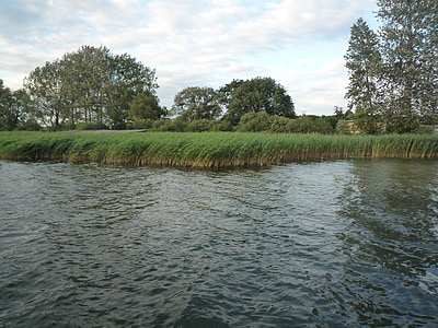 Reed, junto al río, Banco, Lago, junto al lago, naturaleza, agua
