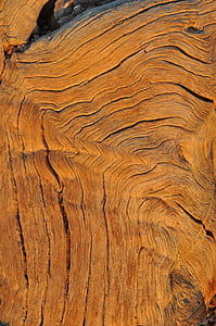 木材, 粒, 構造, パターン, 樹皮, 年輪, 古い