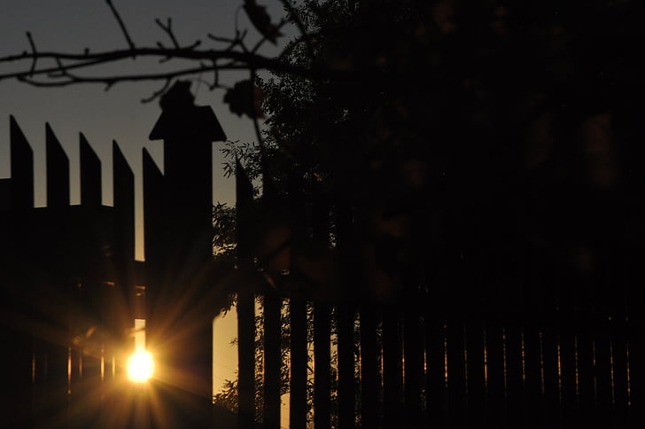 sunset, evening, the sun, twilight, branches