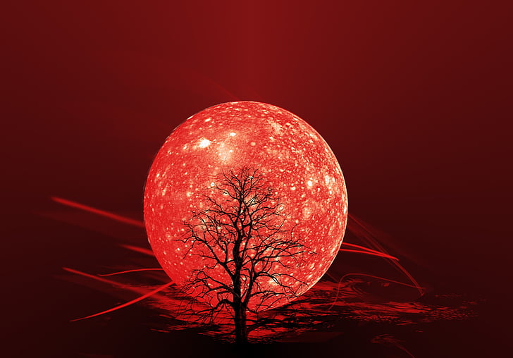 Free photo: the background, red, moon, wallpaper, abstraction, tree,  graphics | Hippopx