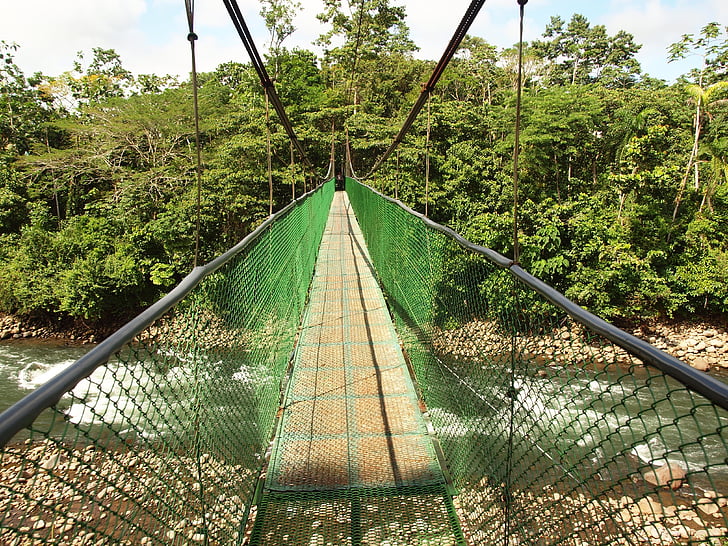 függőhíd, Costa Rica, víz, dzsungel, nemzeti park, esőerdő, folyó