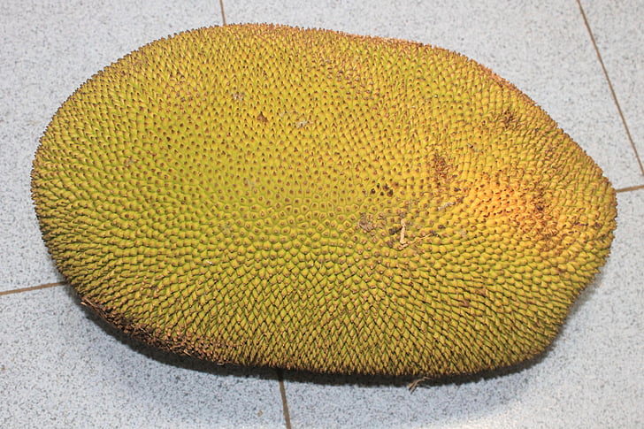 jackfruit, alimentos, Indonesia, Asia