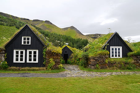 skogar, 박물관, 아이슬란드, 잔디 지붕, 주택, 여행, 조 경