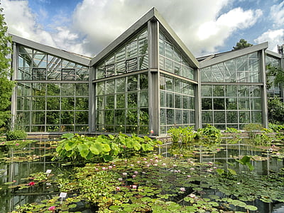 Frankfurt, Tyskland, Botaniska trädgården, dammen, vatten, reflektioner, byggnad