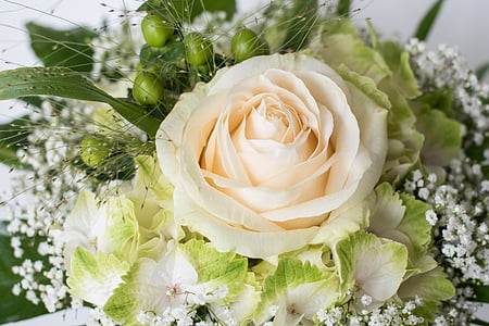 μπουκέτο, γενέθλια, τριαντάφυλλο, μπουκέτο γενεθλίων, λευκό, Γάμος, λουλούδια