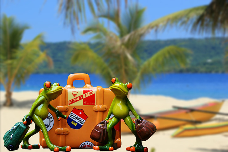 vacances, bagages, palmiers, plage, grenouille, drôle, mignon